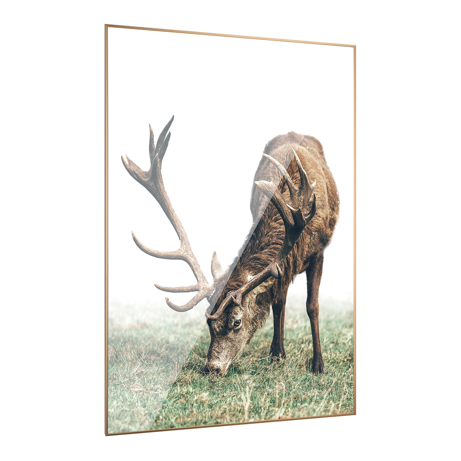 600x900mm Scottish Highland Cattle Elk Wall Art Lifestyle Canvas Print Home Decor