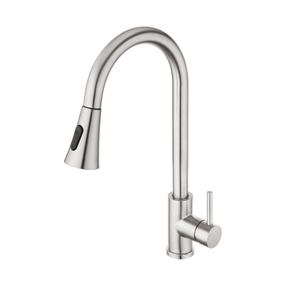 2 Function Pull-Out Kitchen Sink Mixer Tap Stainless Steel 360° Swivel Spout Laundry Basin Sink Faucet