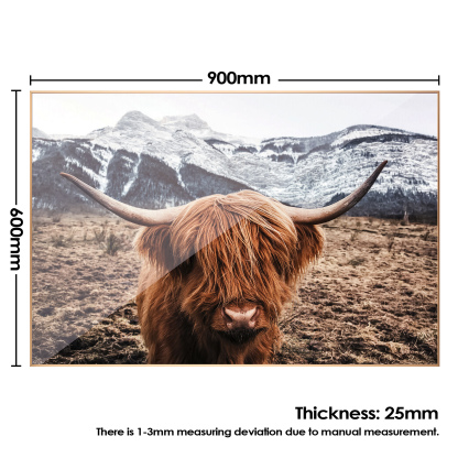 900x600mm Scottish Highland Cattle Cow Wall Art Lifestyle Canvas Print Home Decor