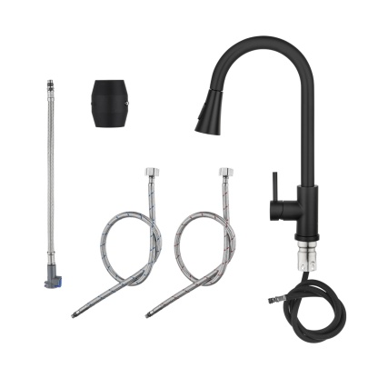 2 Function Pull-Out Kitchen Sink Mixer Tap Stainless Steel 360° Swivel Spout Laundry Basin Sink Faucet