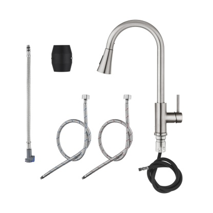 2 Function Pull-Out Kitchen Sink Mixer Tap Stainless Steel 360° Swivel Spout Laundry Basin Sink Faucet