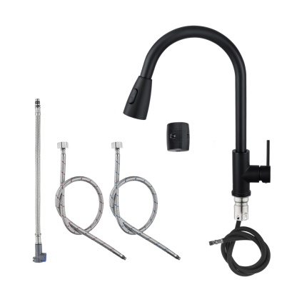 Stainless Steel 2 Function Gooseneck Pull-Out Kitchen Sink Mixer Tap 360° Swivel Laundry Basin Spout Faucet Brushed/Black