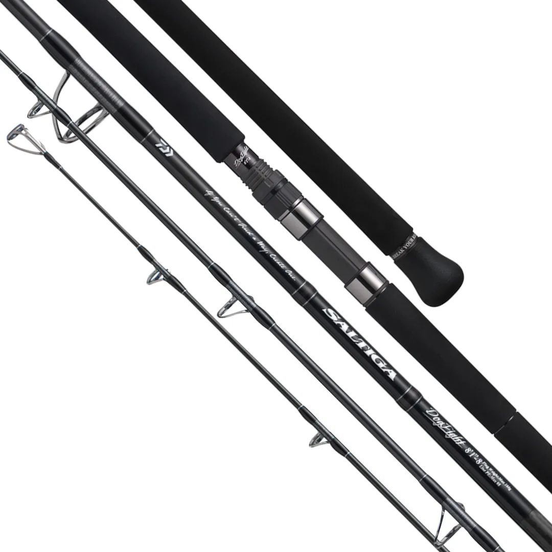 STICKBAIT & POPPING RODS