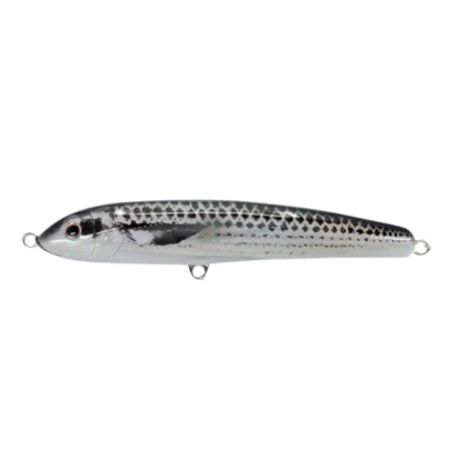 Nomad Riptide 155mm Slow Sinking Hard Body Fishing Lures-Otto's  Tackle World