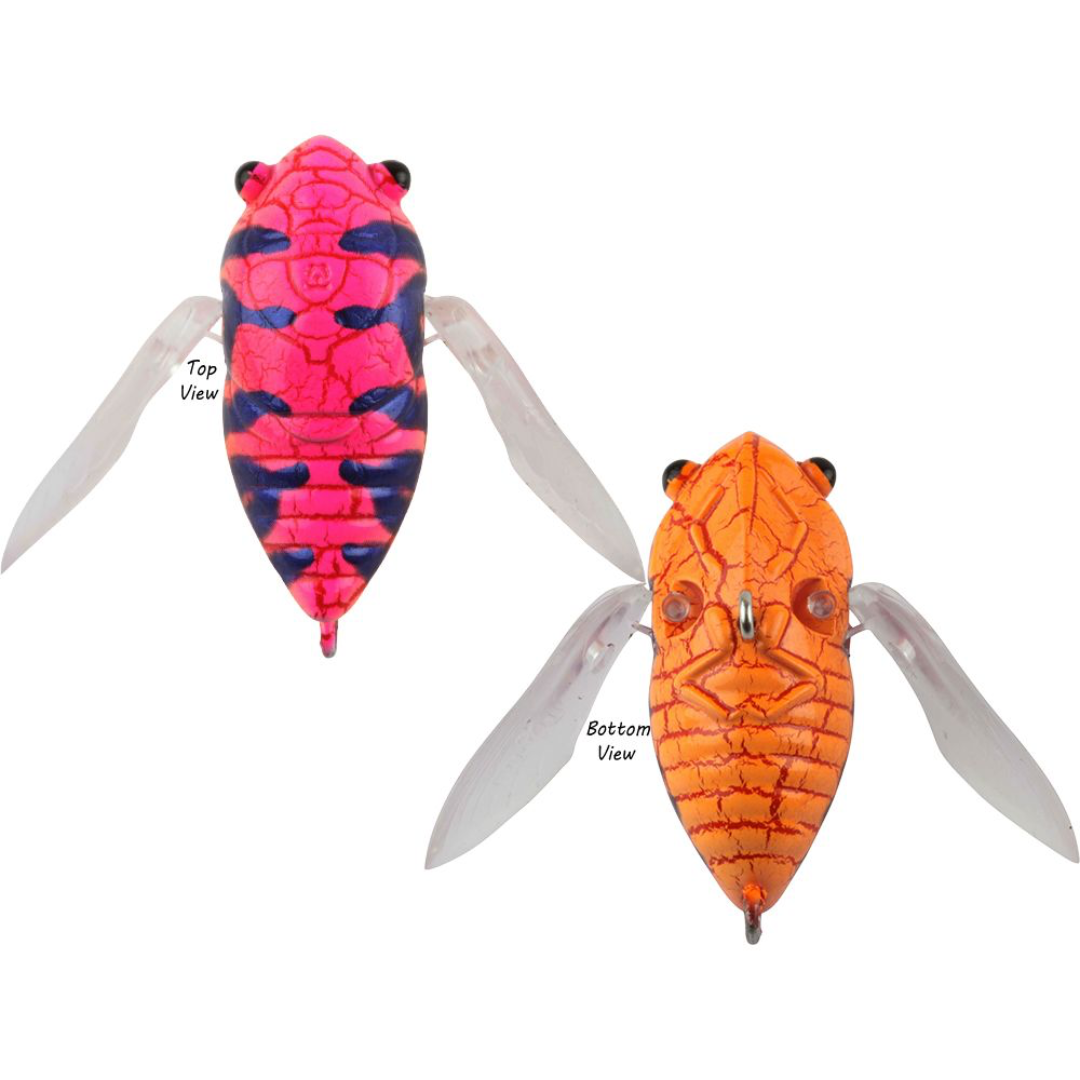 Atomic Hardz Cicada 35mm Surface Fishing Lure-Otto's Tackle World