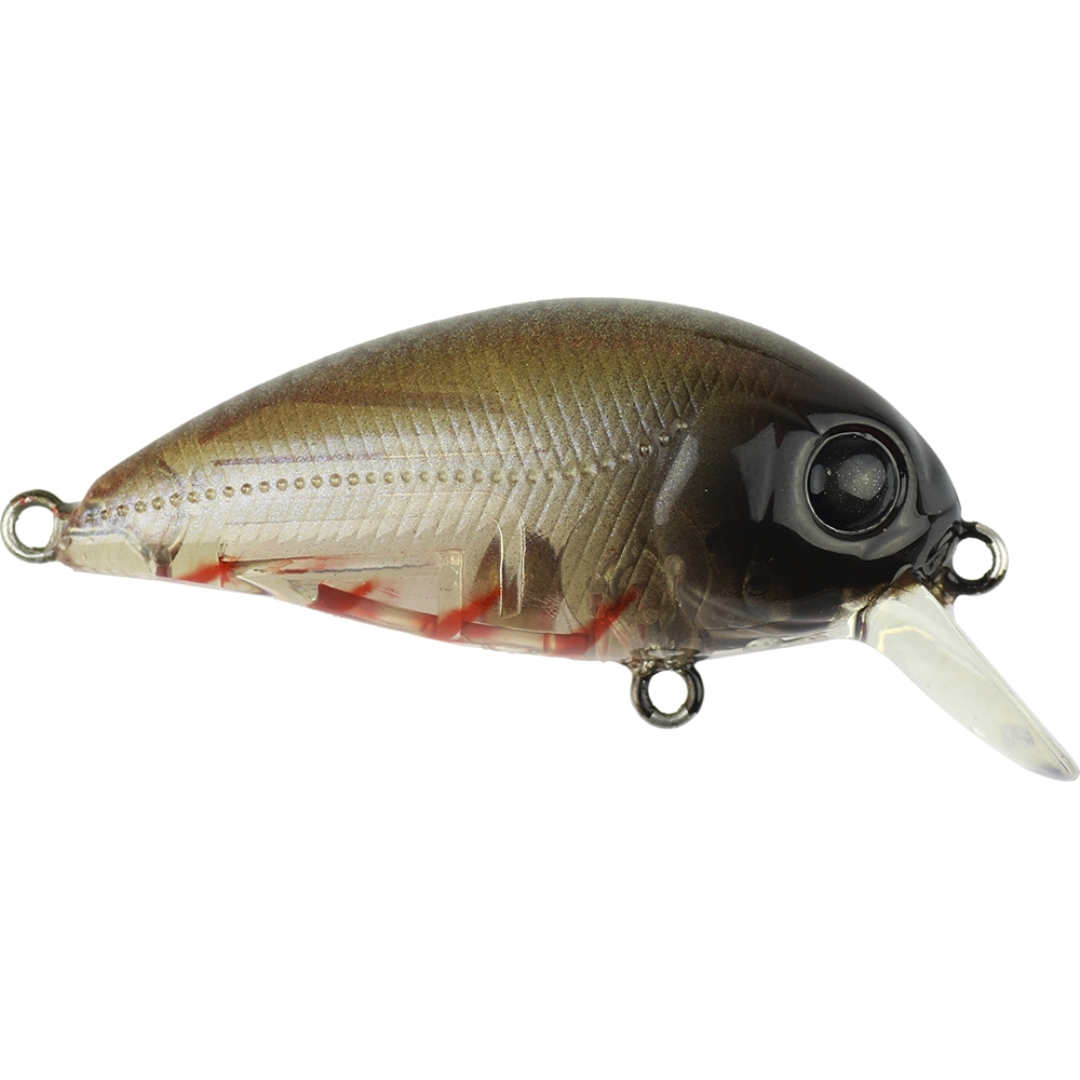 Atomic Hardz Crank Mid 38mm Hardbody Fishing Lure-Otto's Tackle World
