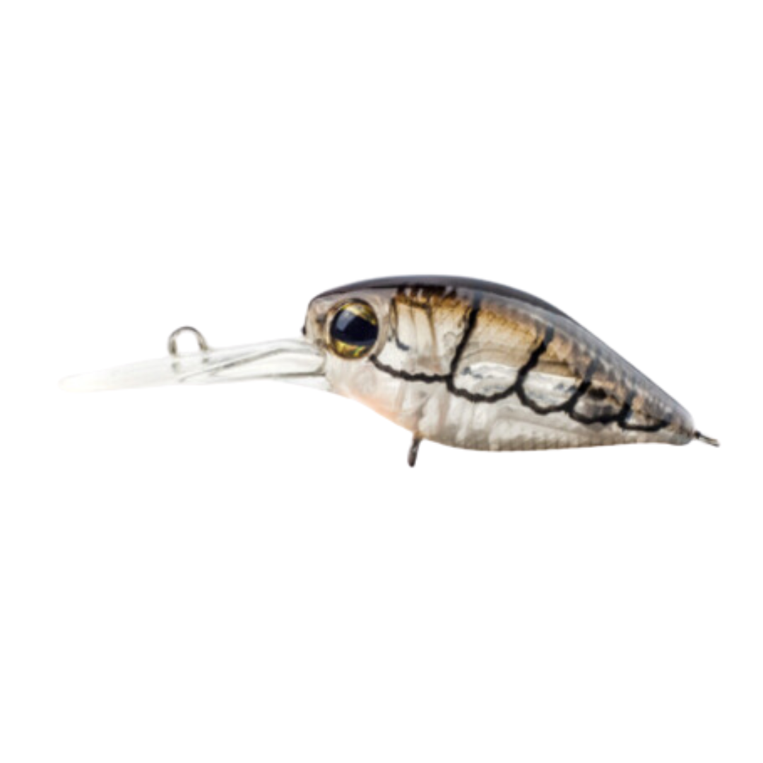 Pro Lure Crank 36mm Shallow Hard Body Fishing Lure-Otto's  Tackle World