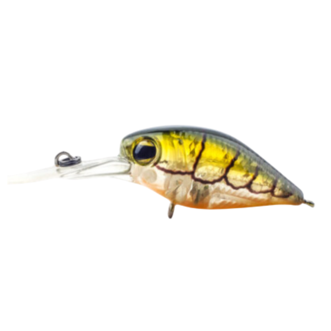 Pro Lure Crank 36mm Shallow Hard Body Fishing Lure-Otto's  Tackle World