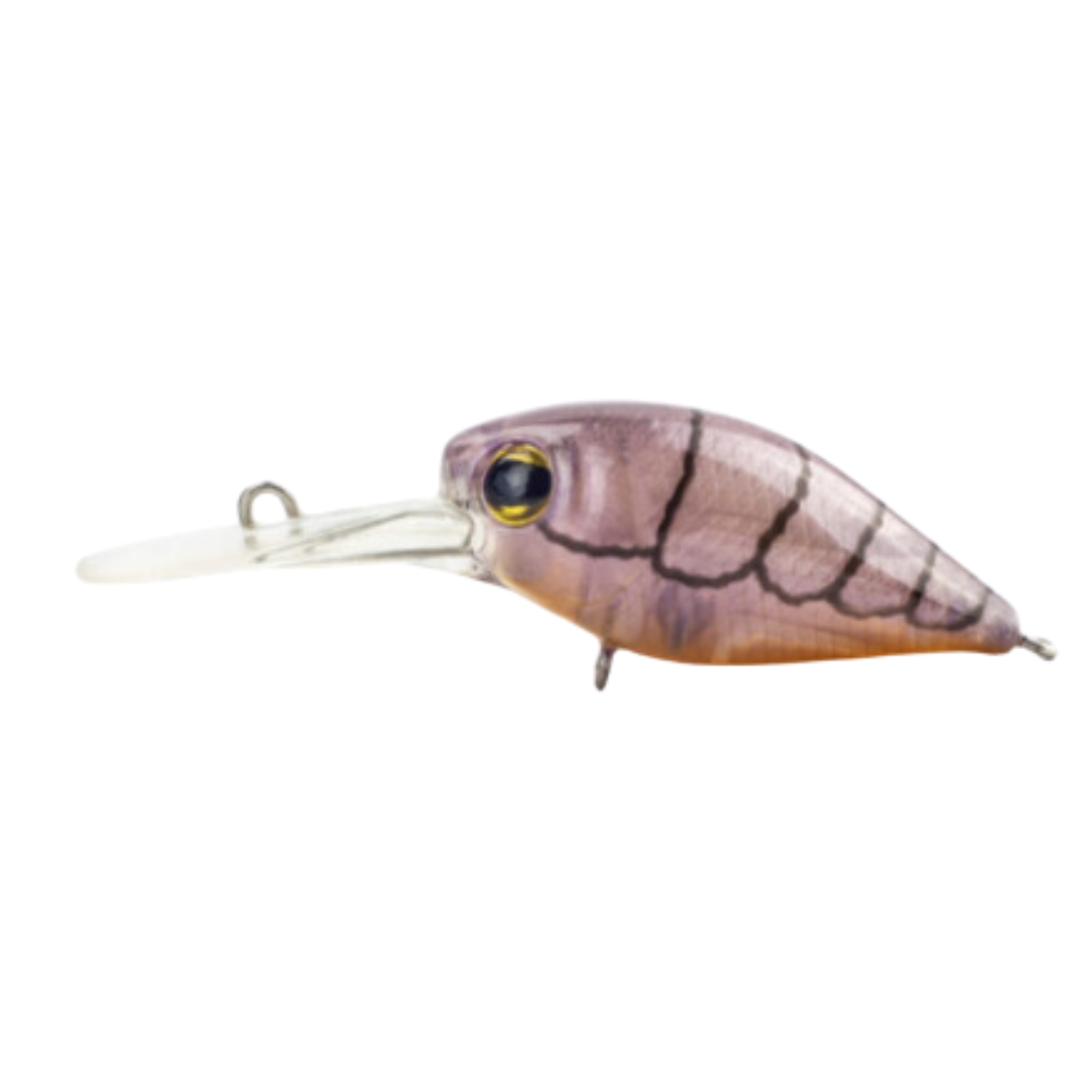Pro Lure Crank 36mm Deep Hard Body Fishing Lure-Otto's  Tackle World