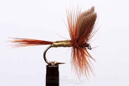 EJ Todd Dry Flies Size 12-Otto's  Tackle World
