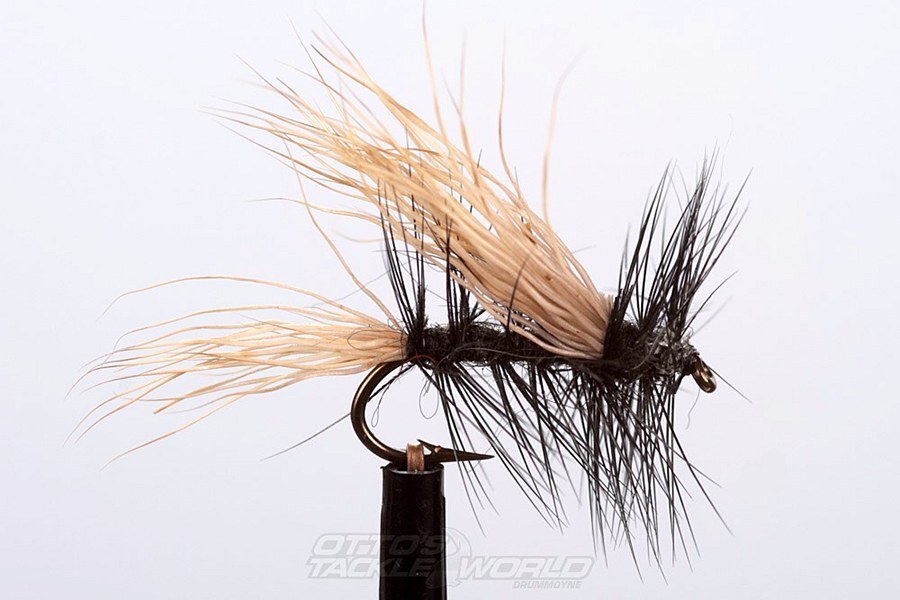 EJ Todd Dry Flies Size 12-Otto's  Tackle World