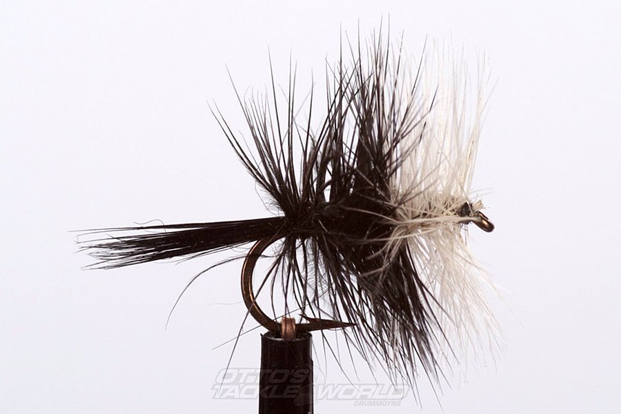 EJ Todd Dry Flies Size 12-Otto's  Tackle World