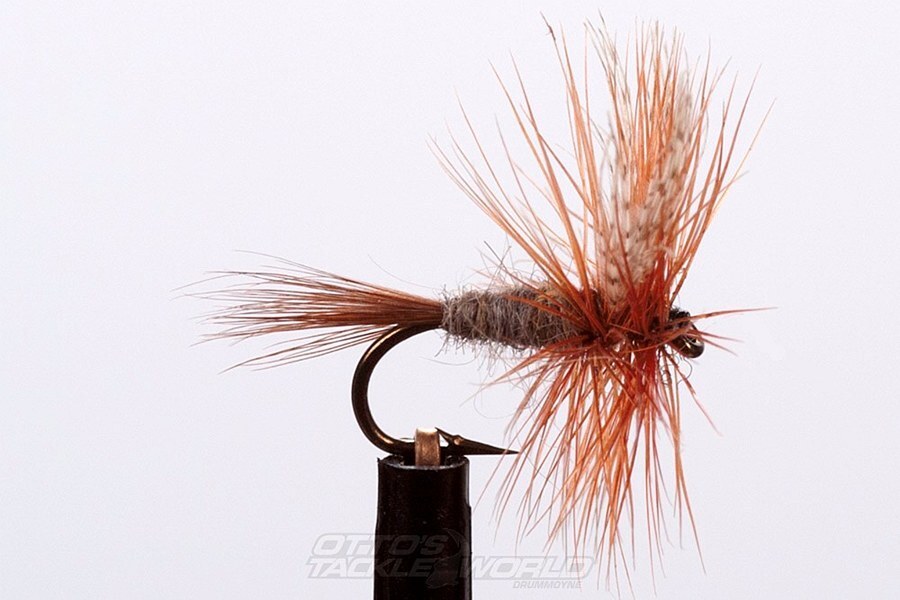 EJ Todd Dry Flies Size 12-Otto's  Tackle World