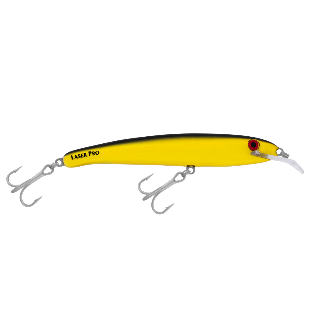 Halco Laser Pro 160 XDD Hard Bodied Fishing Lures-Otto's  Tackle World
