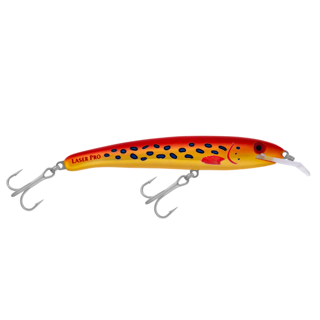 Halco Laser Pro 160 XDD Hard Bodied Fishing Lures-Otto's  Tackle World