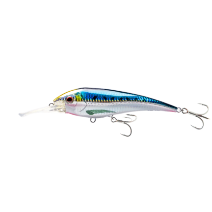 Nomad DTX Minnow 145mm Shallow Floating Hard Body Fishing Lures-Otto's  Tackle World
