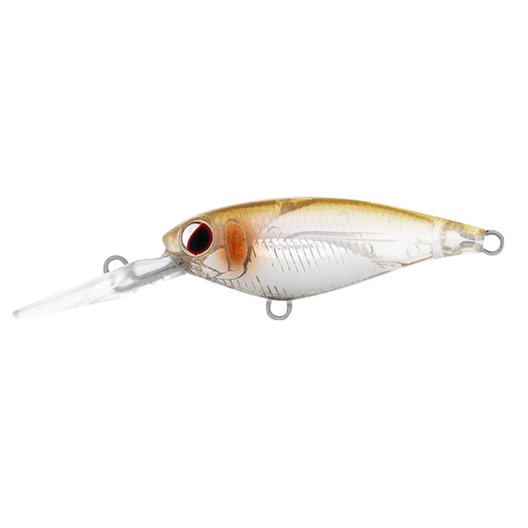 DAIWA Infeet Kodachi 40SF Hardbody Fishing Lure-Otto's  Tackle World
