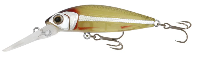 Samaki Redic Jerkbait MS60 Hardbody Fishing Lure-Otto's  Tackle World