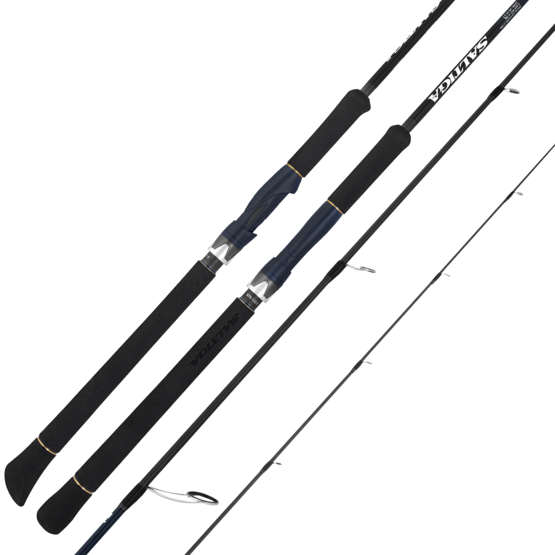 25 Daiwa Saltiga LC Spinning Fishing Rod-Otto's  Tackle World