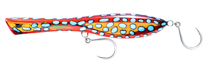 Nomad Dartwing 165mm Popper Fishing Lures-Otto's  Tackle World