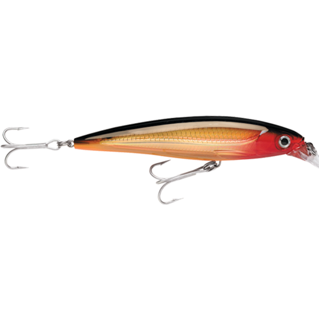 Rapala X-Rap Saltwater SXR14 Hardbody Fishing Lure-Otto's  Tackle World
