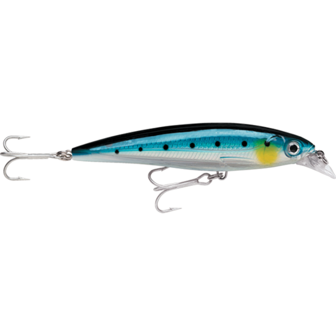 Rapala X-Rap Saltwater SXR14 Hardbody Fishing Lure-Otto's  Tackle World