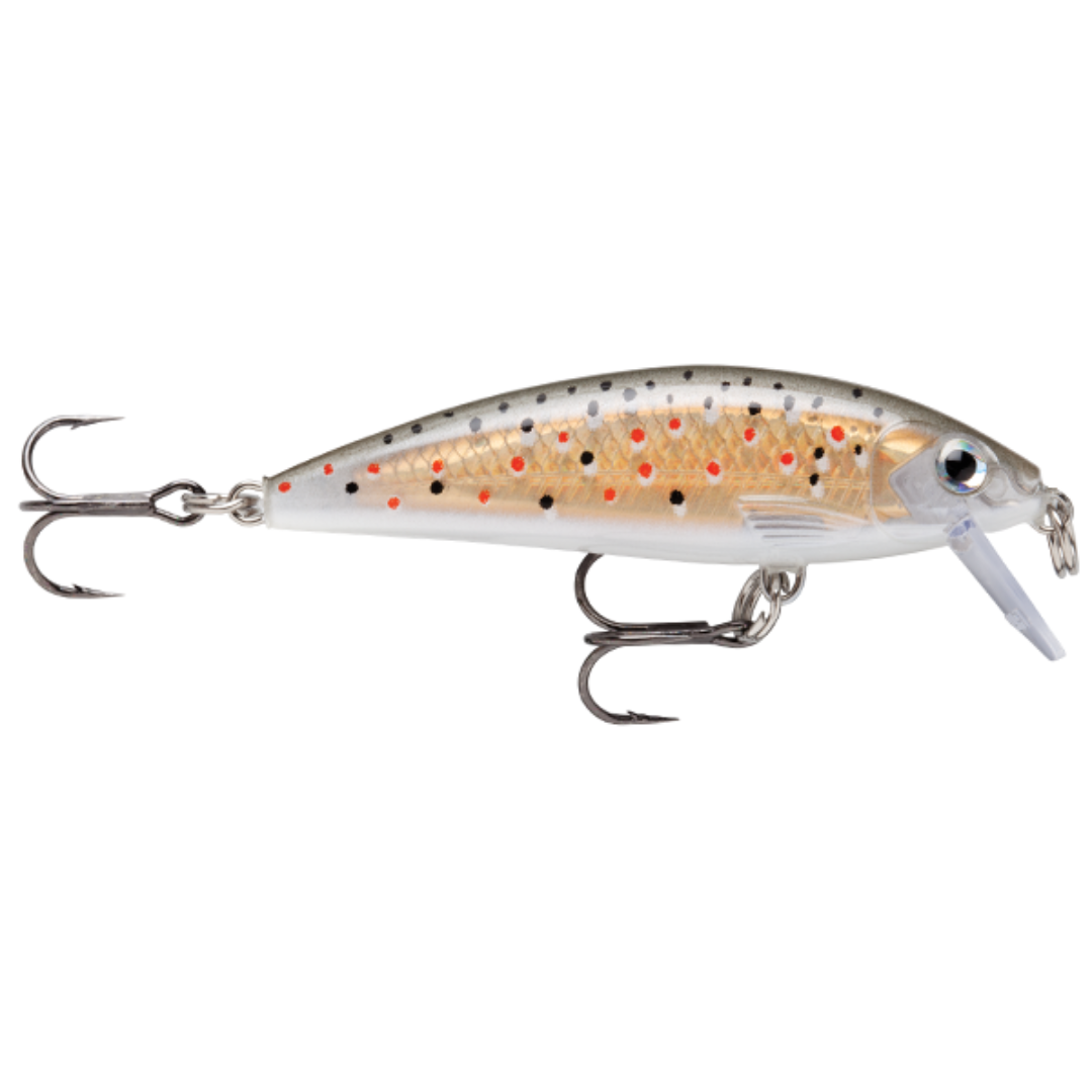 Rapala Countdown CD03 Hardbody Fishing Lure