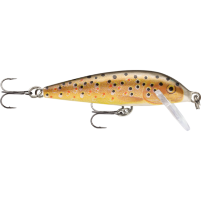 Rapala Countdown Sinking CD05 Hardbody Fishing Lure-Otto's  Tackle World