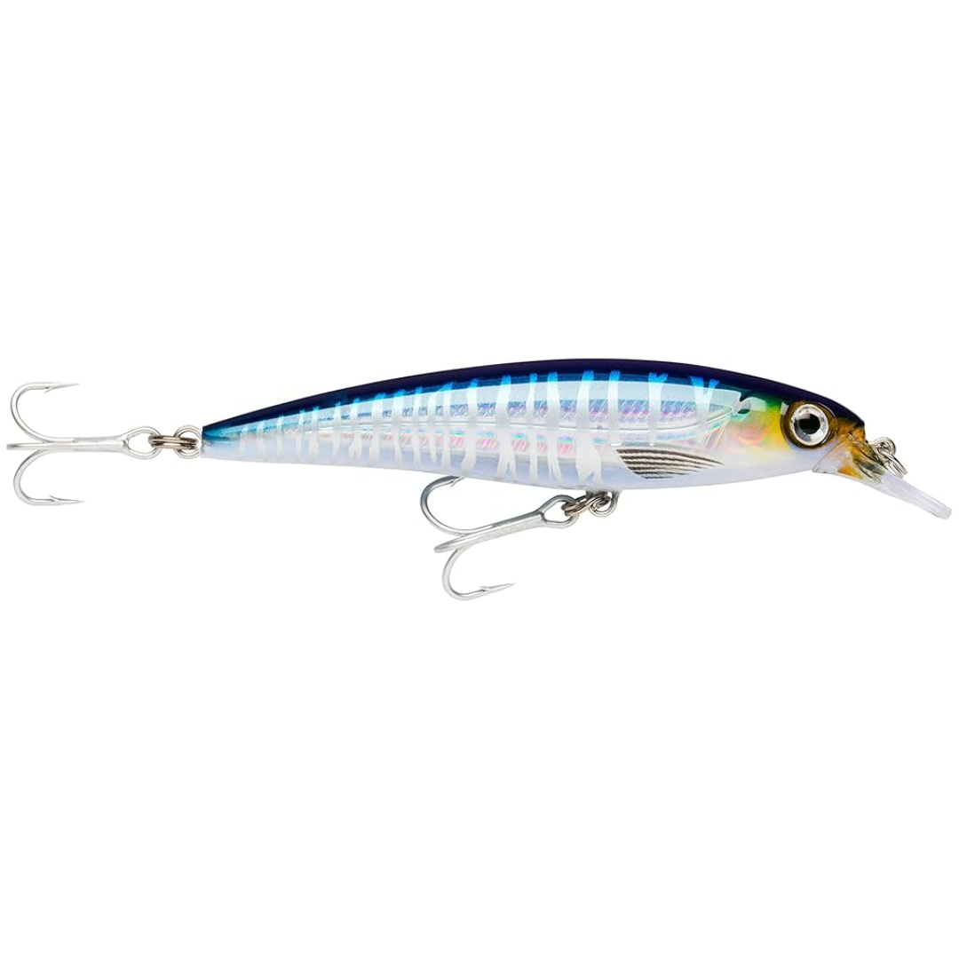 Rapala X-Rap Saltwater SXR12 Hardbody Fishing Lure-Otto's  Tackle World