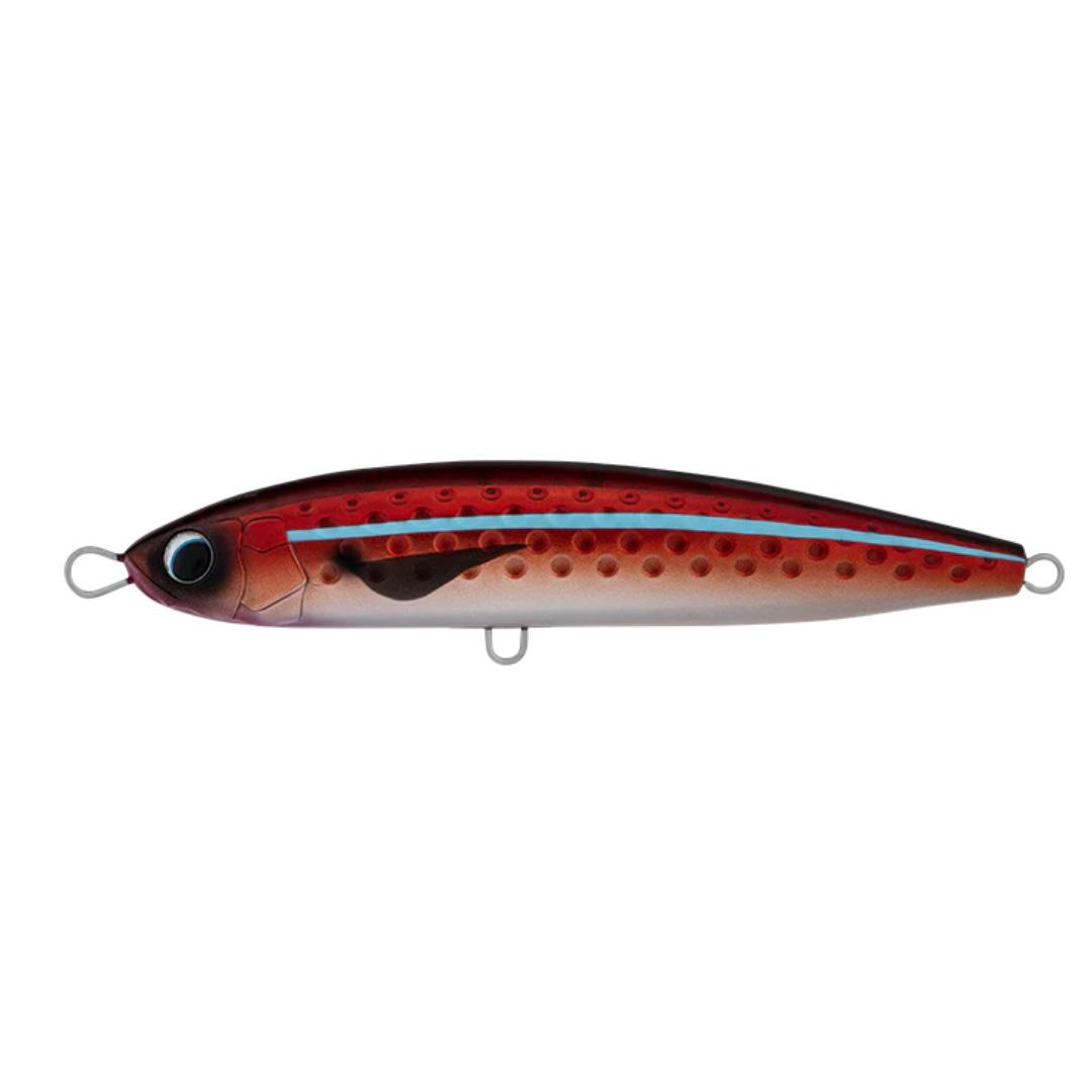 23 Daiwa Saltiga Rough Ride 160F-Otto's  Tackle World