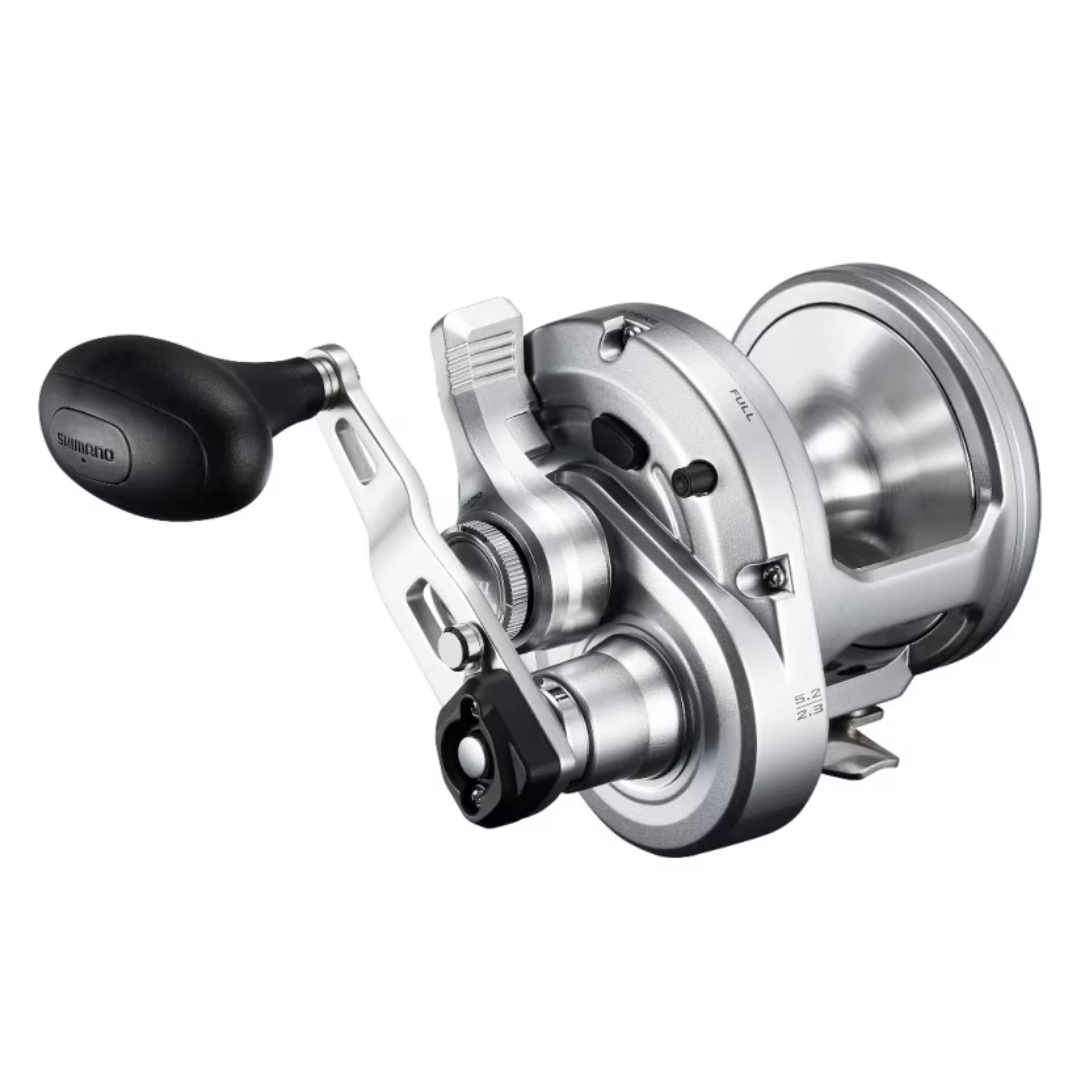 Shimano Speedmaster 20 Lever Drag 2 Speed Overhead Fishing Reel