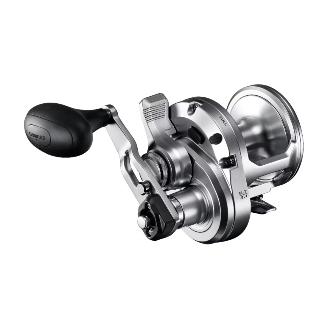 Shimano Speedmaster 12 Lever Drag 2 Speed Overhead Fishing Reel