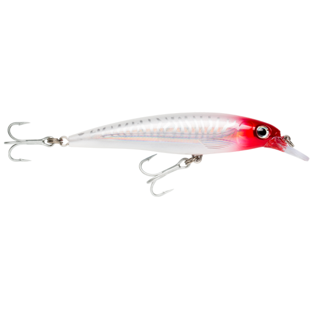 Rapala X-Rap Saltwater SXR14 Hardbody Fishing Lure-Otto's  Tackle World