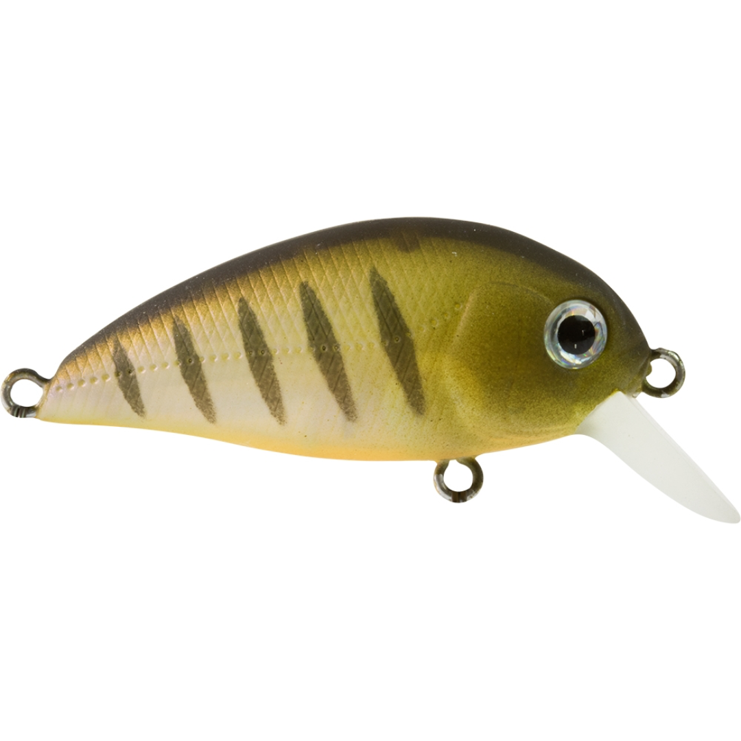 Atomic Hardz Crank Mid 38mm Hardbody Fishing Lure-Otto's Tackle World