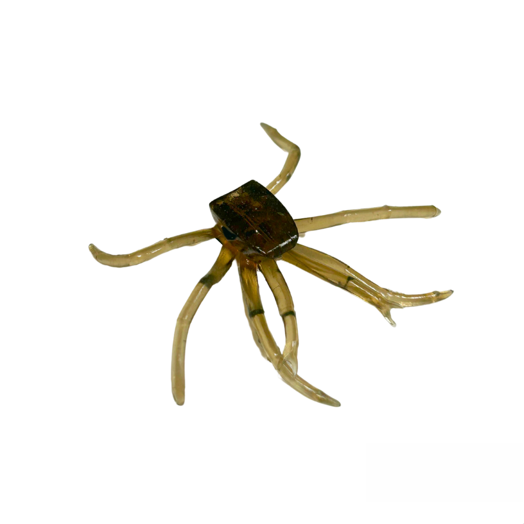 ProLure Hybrid Shrimp Replacement Legs