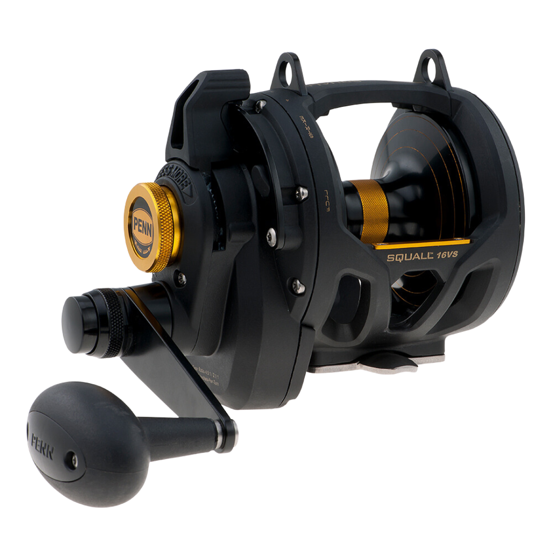 Penn Squall 16 VS Lever Drag 2 Speed Overhead Fishing Reel