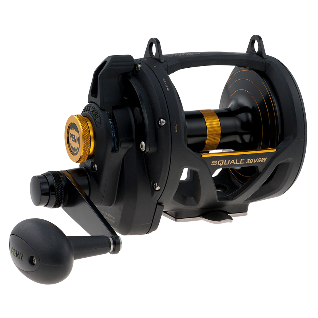 Penn Squall 30 VSW Lever Drag 2 Speed Overhead Fishing Reel