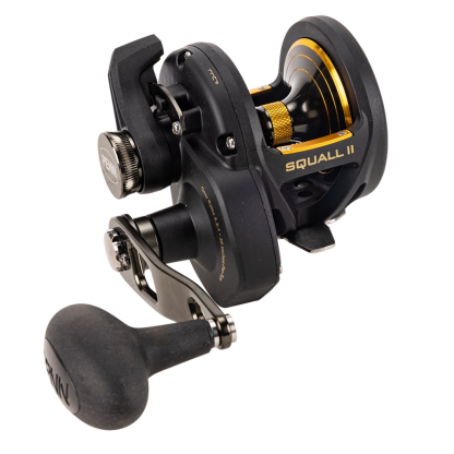Penn SQLII25NLD Squall II 25NLD Overhead Fishing Reel