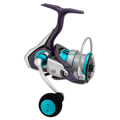 20 Daiwa Emeraldas X Lt3000s-H Spinning Fishing Reel