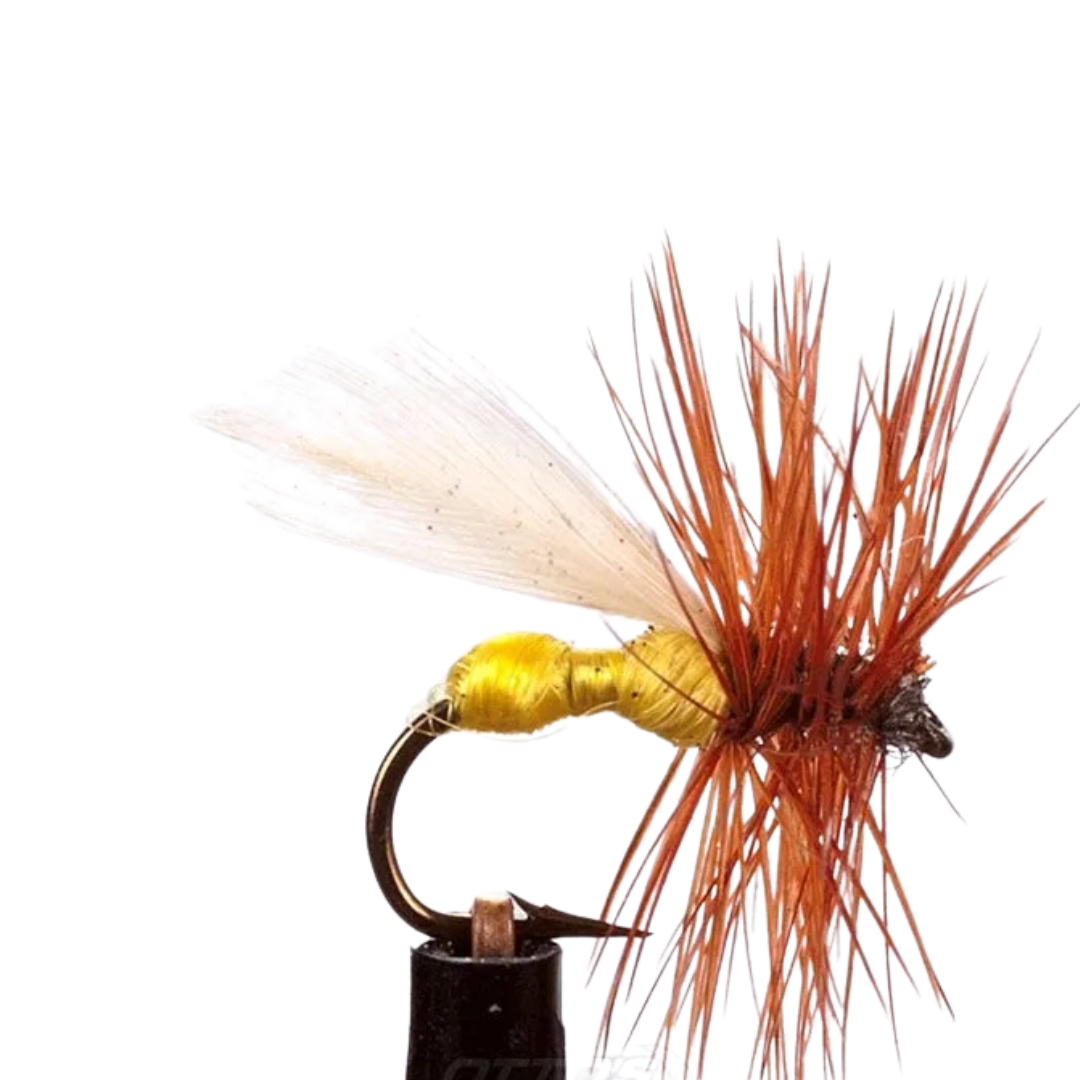EJ Todd Dry Flies Size 12-Otto's  Tackle World