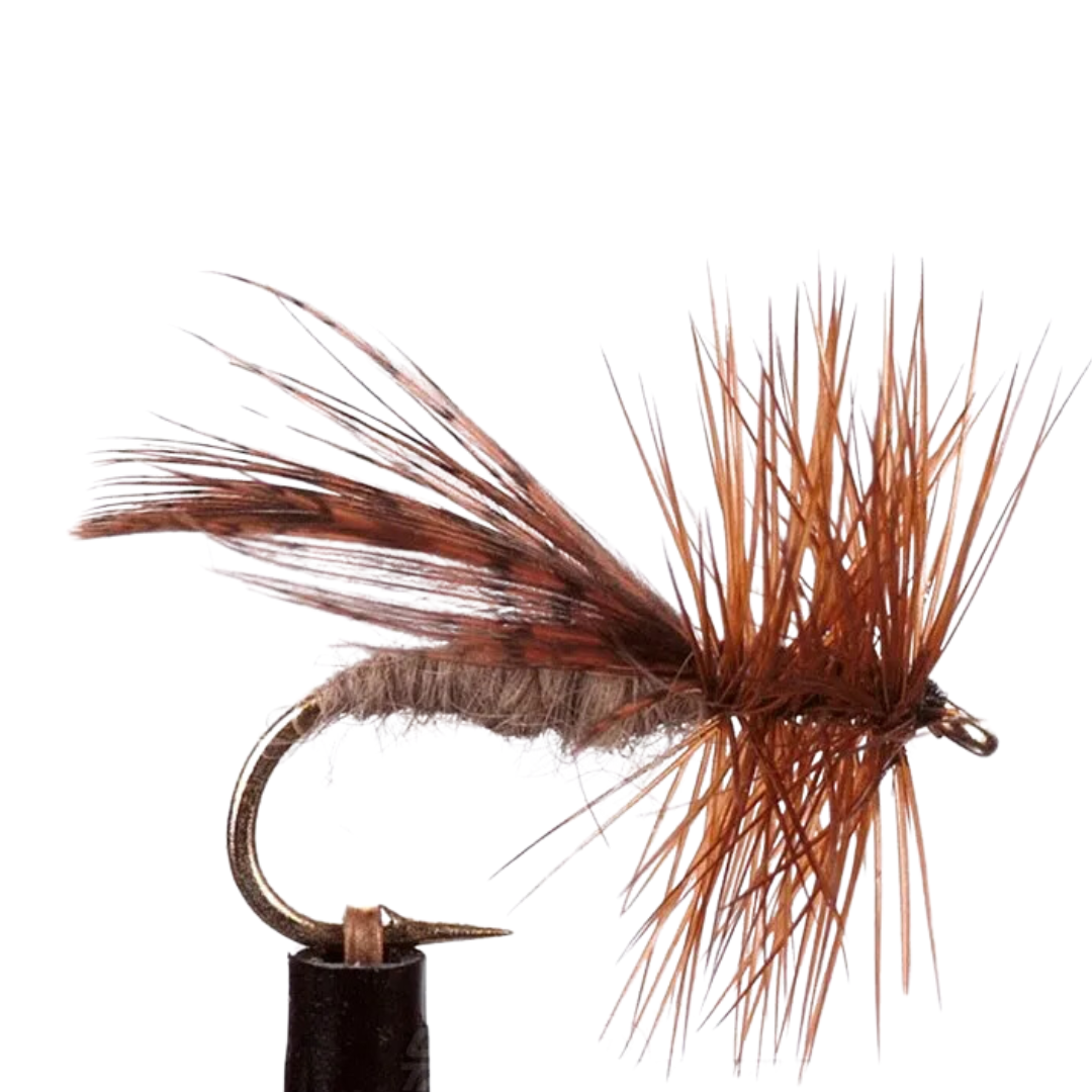 EJ Todd Dry Flies Size 12-Otto's  Tackle World