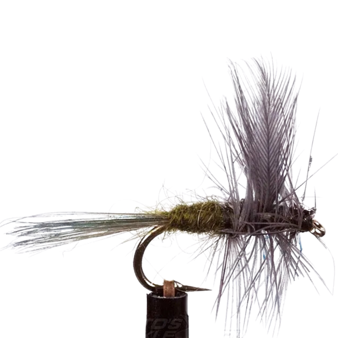EJ Todd Dry Flies Size 12-Otto's  Tackle World
