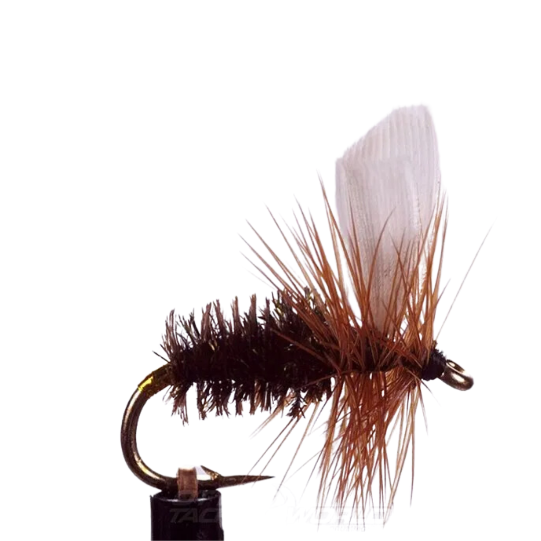 EJ Todd Dry Flies Size 12-Otto's  Tackle World