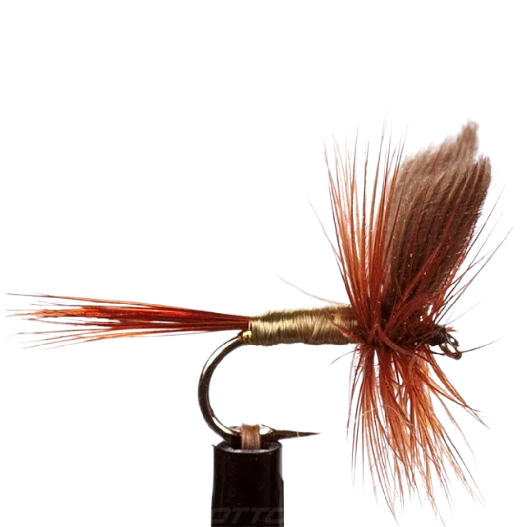 EJ Todd Dry Flies Size 14-Otto's  Tackle World