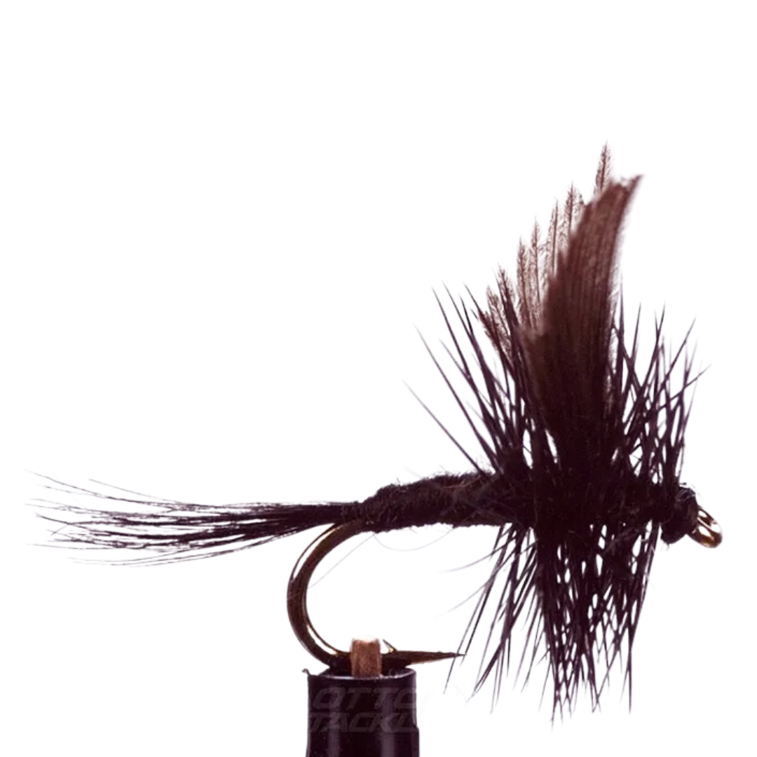 EJ Todd Dry Flies Size 12-Otto's  Tackle World