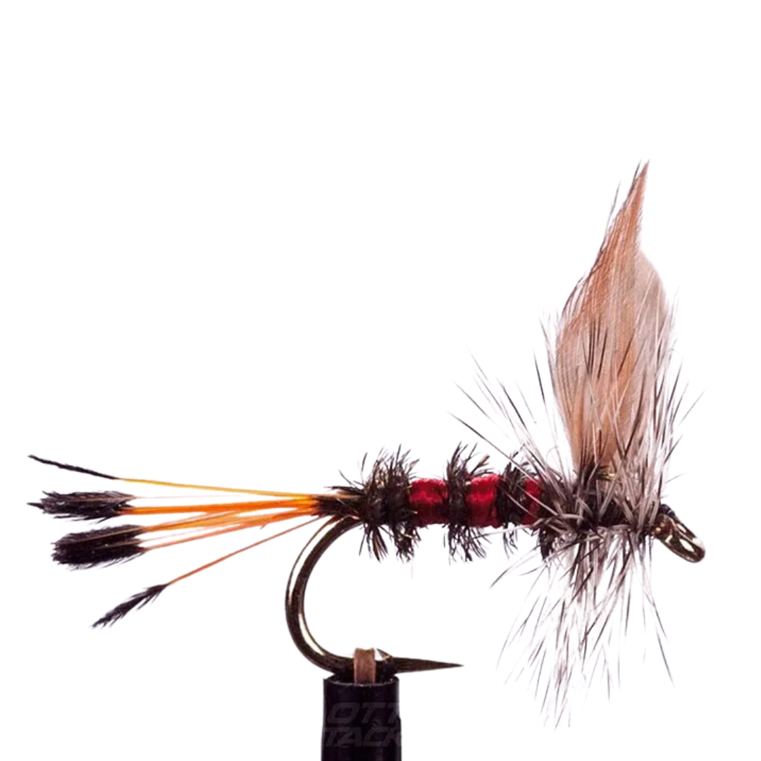 EJ Todd Dry Flies Size 12-Otto's  Tackle World