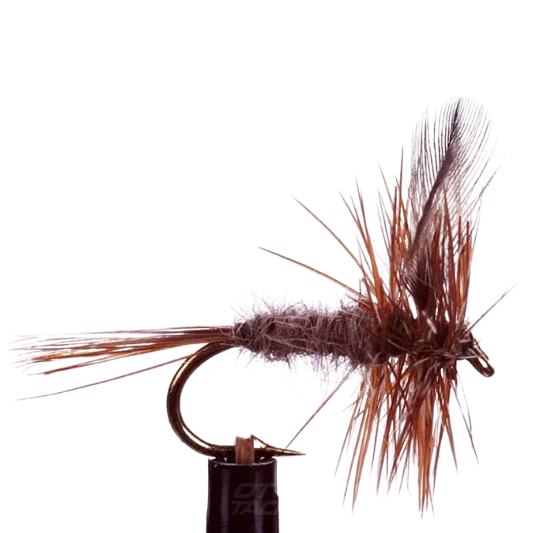 EJ Todd Dry Flies Size 12-Otto's  Tackle World