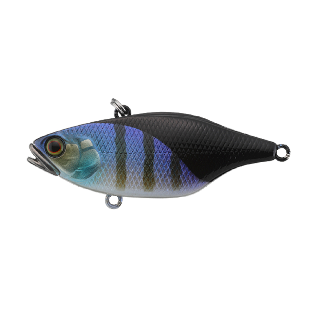 Jackall TN60 Skull Shell Maruhata Sound Vibe Fishing Lure