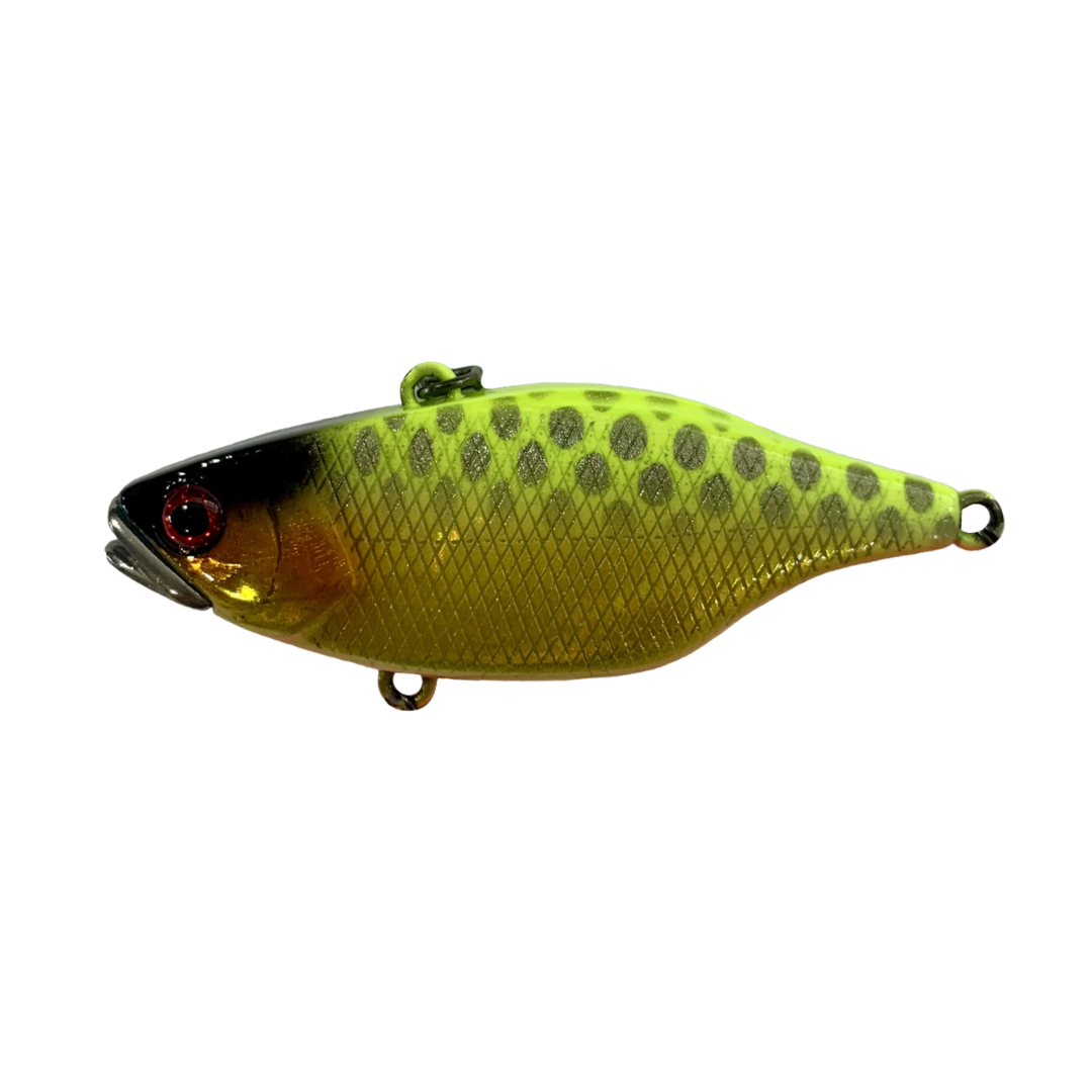 Jackall TN60 Skull Shell Maruhata Sound Vibe Fishing Lure