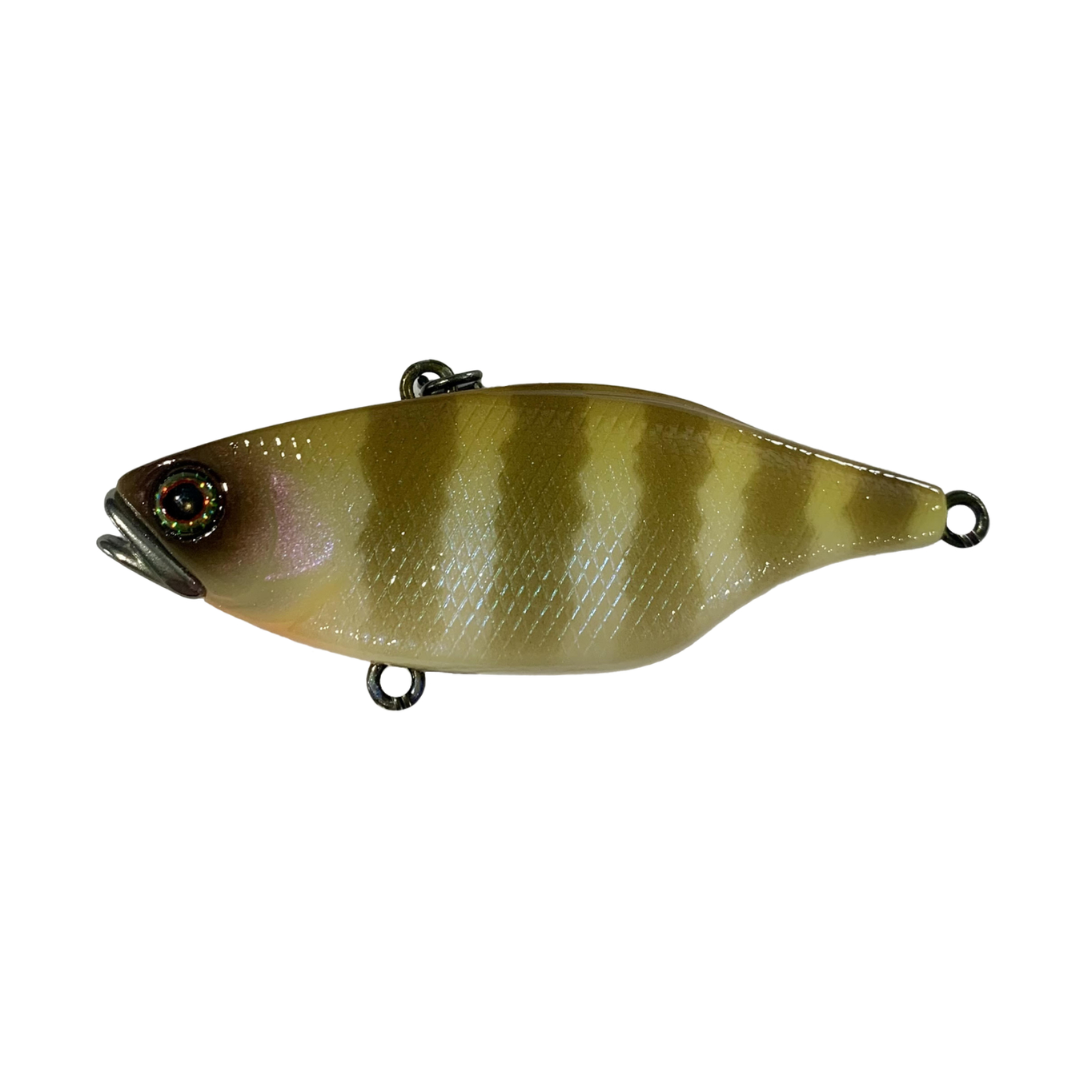 Jackall TN60 Skull Shell Maruhata Sound Vibe Fishing Lure